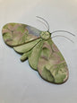 Porcelain Moths