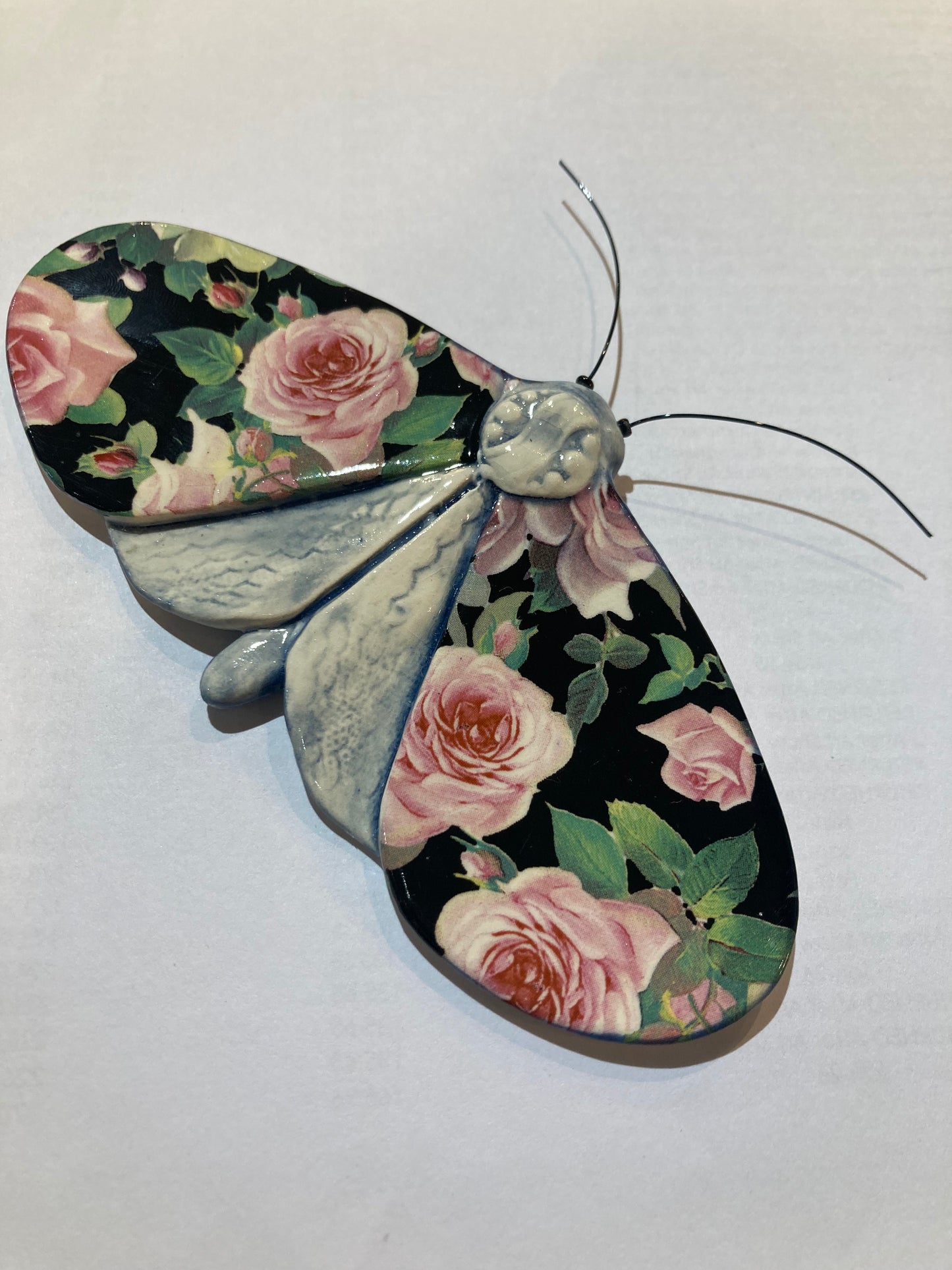 Porcelain Moths