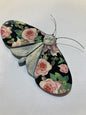 Porcelain Moths