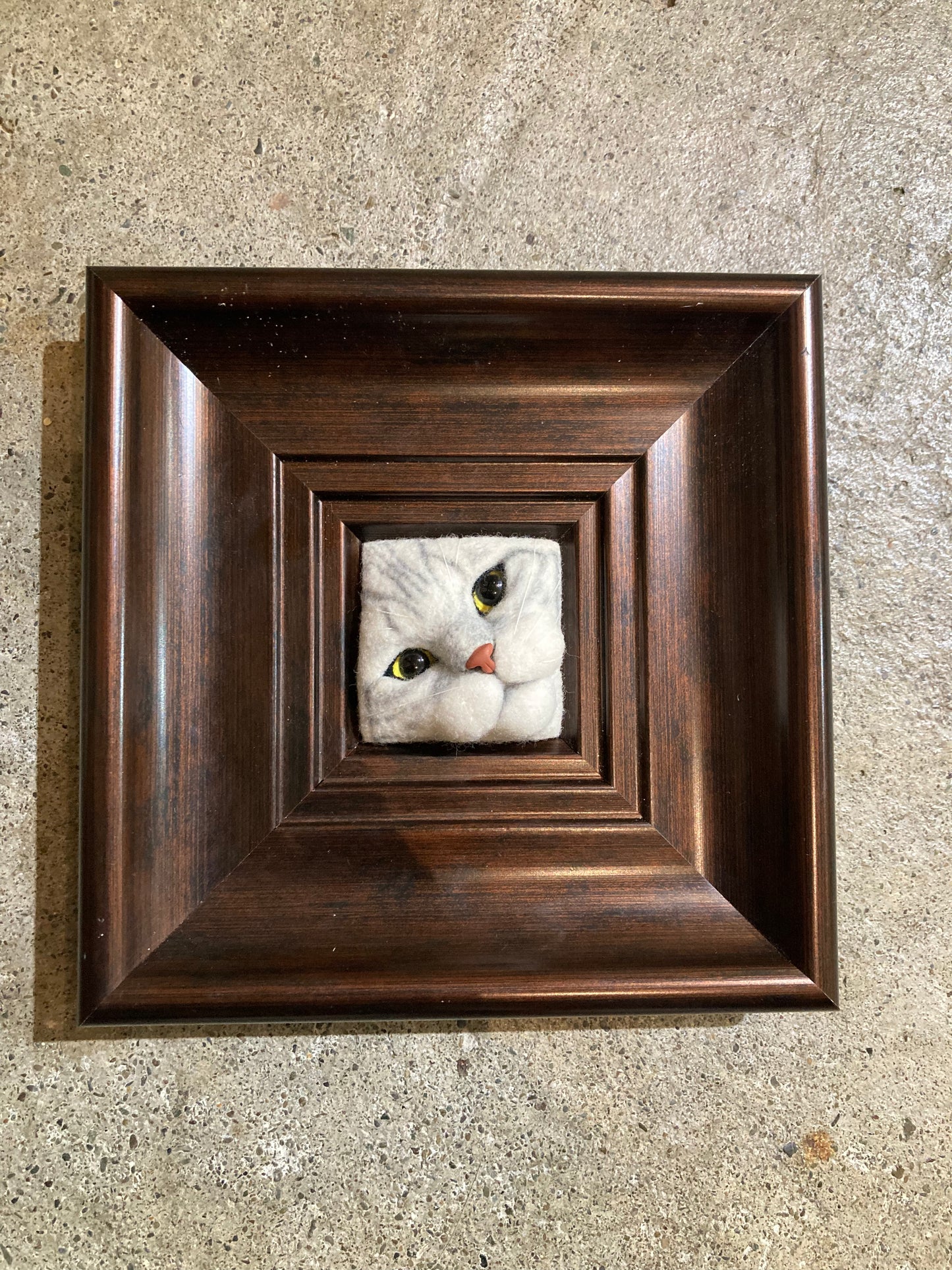 Purr…fect Cats