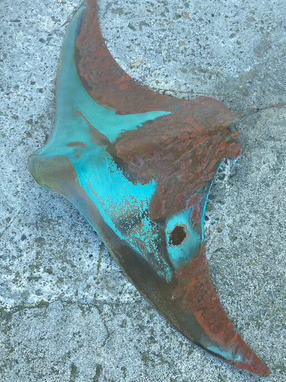 XXL Large Copper Stingray
