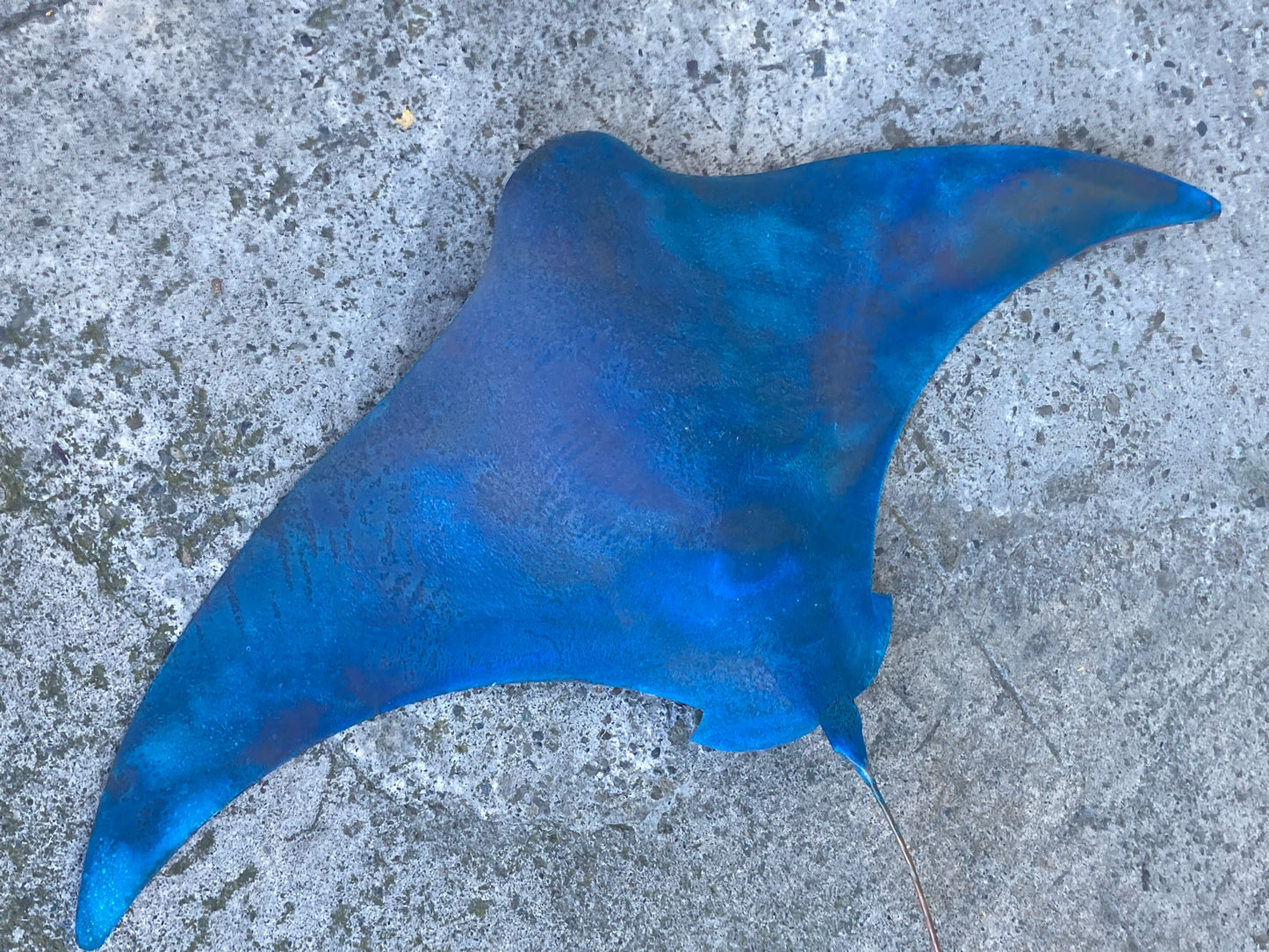 XXXL Large Copper Stingray