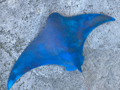 XXXL Large Copper Stingray