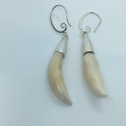 Niho upukohue Earrings