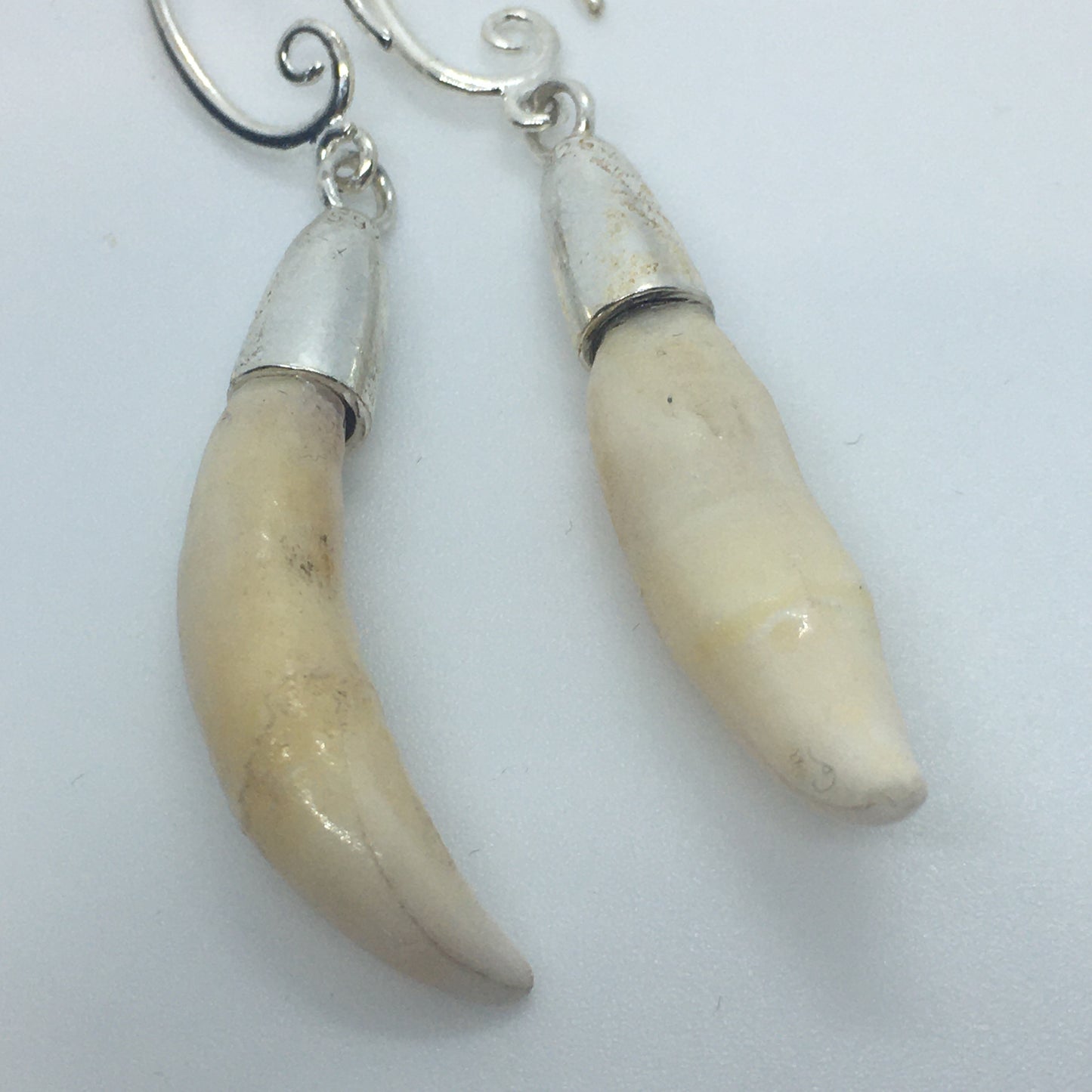 Niho upukohue Earrings