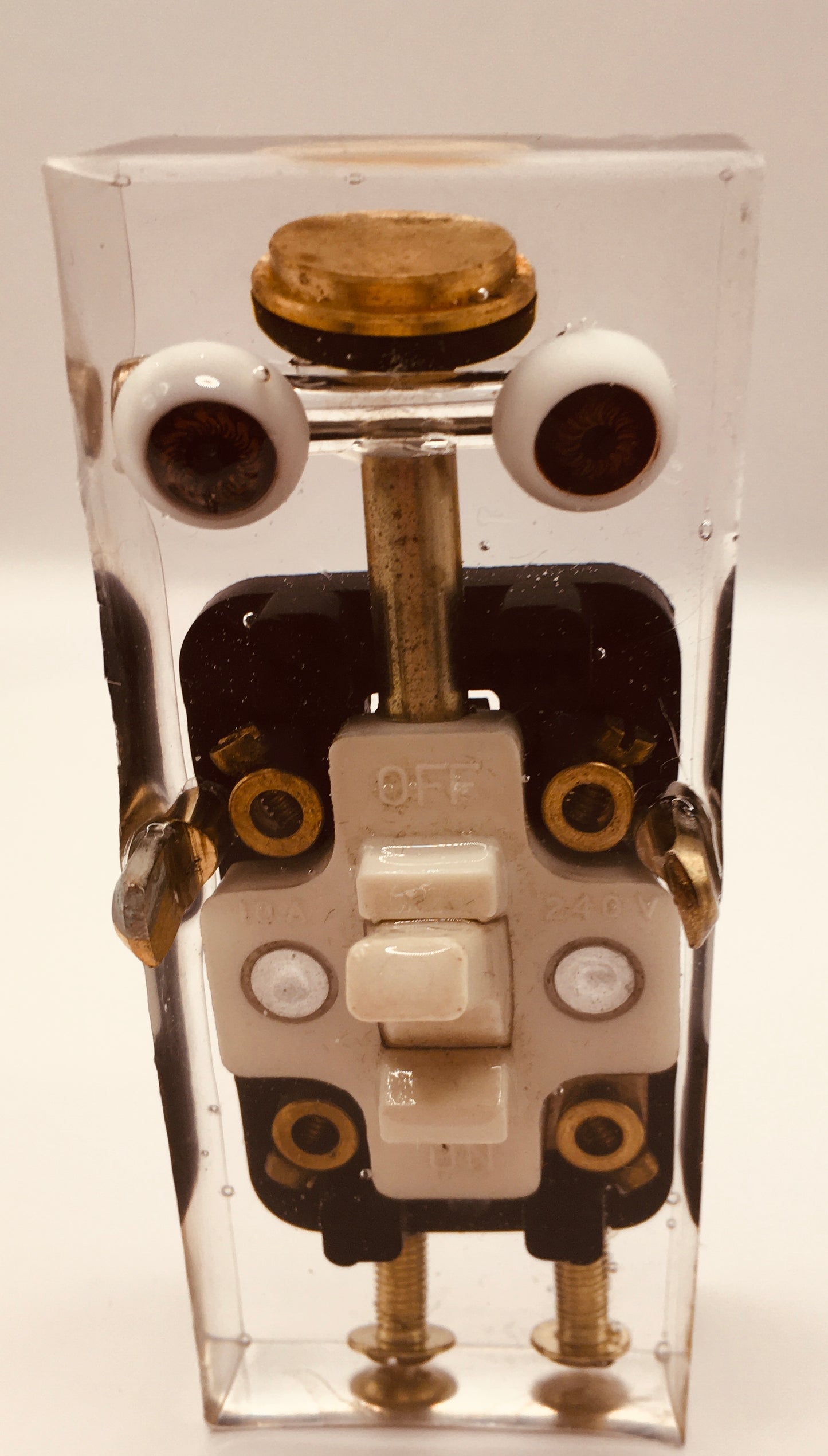 Maxi and Mega Minion Cryobots