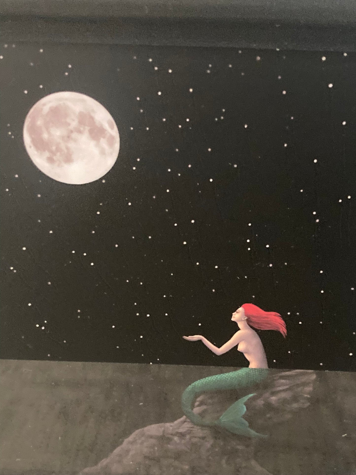 The Moon and the Stars
