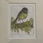 Tomtit Limited Edition Etching