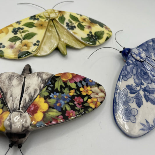 Porcelain Moths