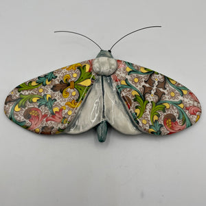 Porcelain Moths