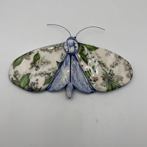 Porcelain Moths
