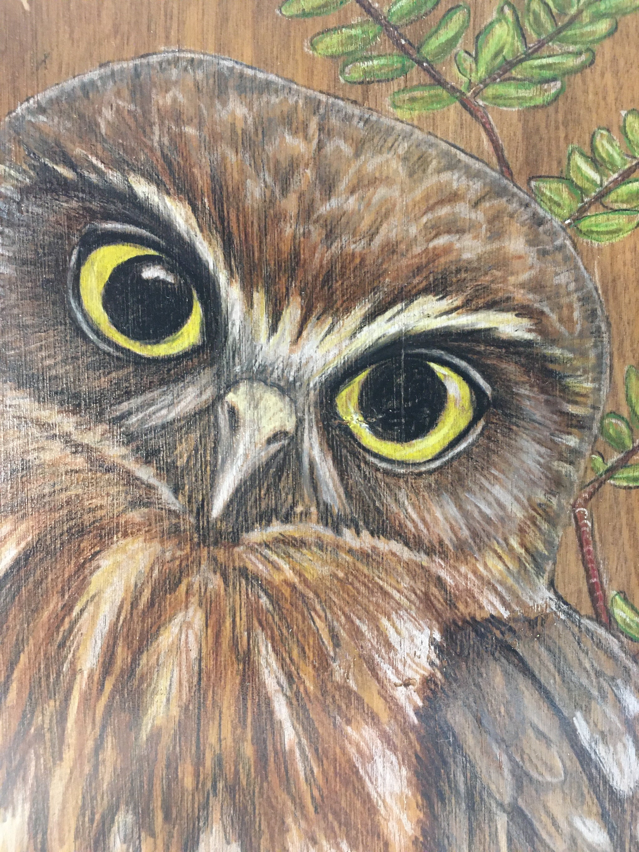 Ruru in Beech Block Drawing - The Cool Store Gallery