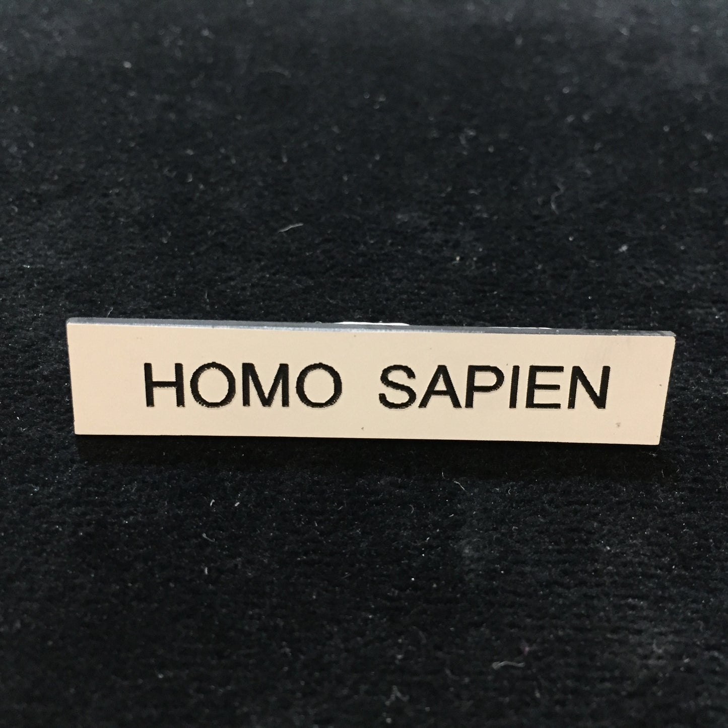 Human and Homo Sapien Brooches