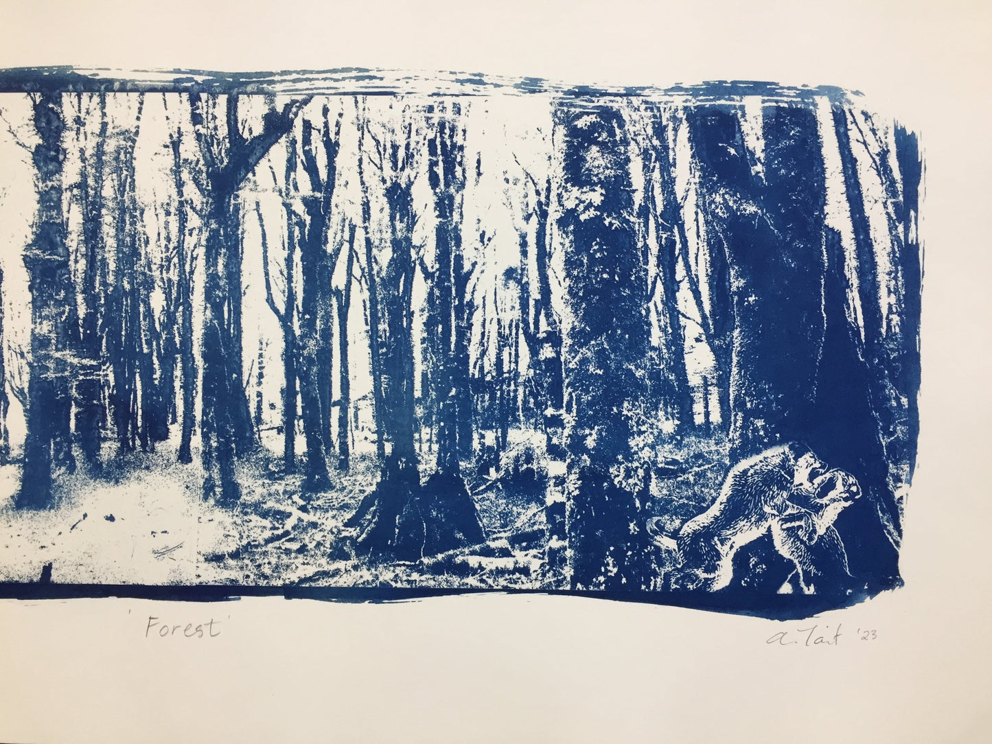 Forest - Limited Edition Solargraph Print