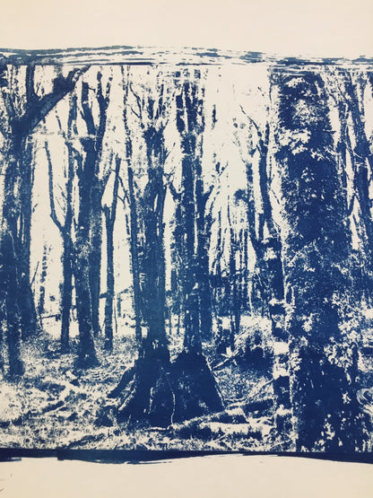 Forest - Limited Edition Solargraph Print