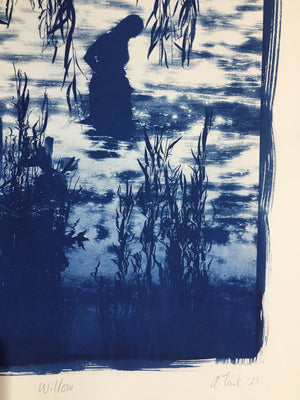 Willow - Limited Edition Solargraph Print