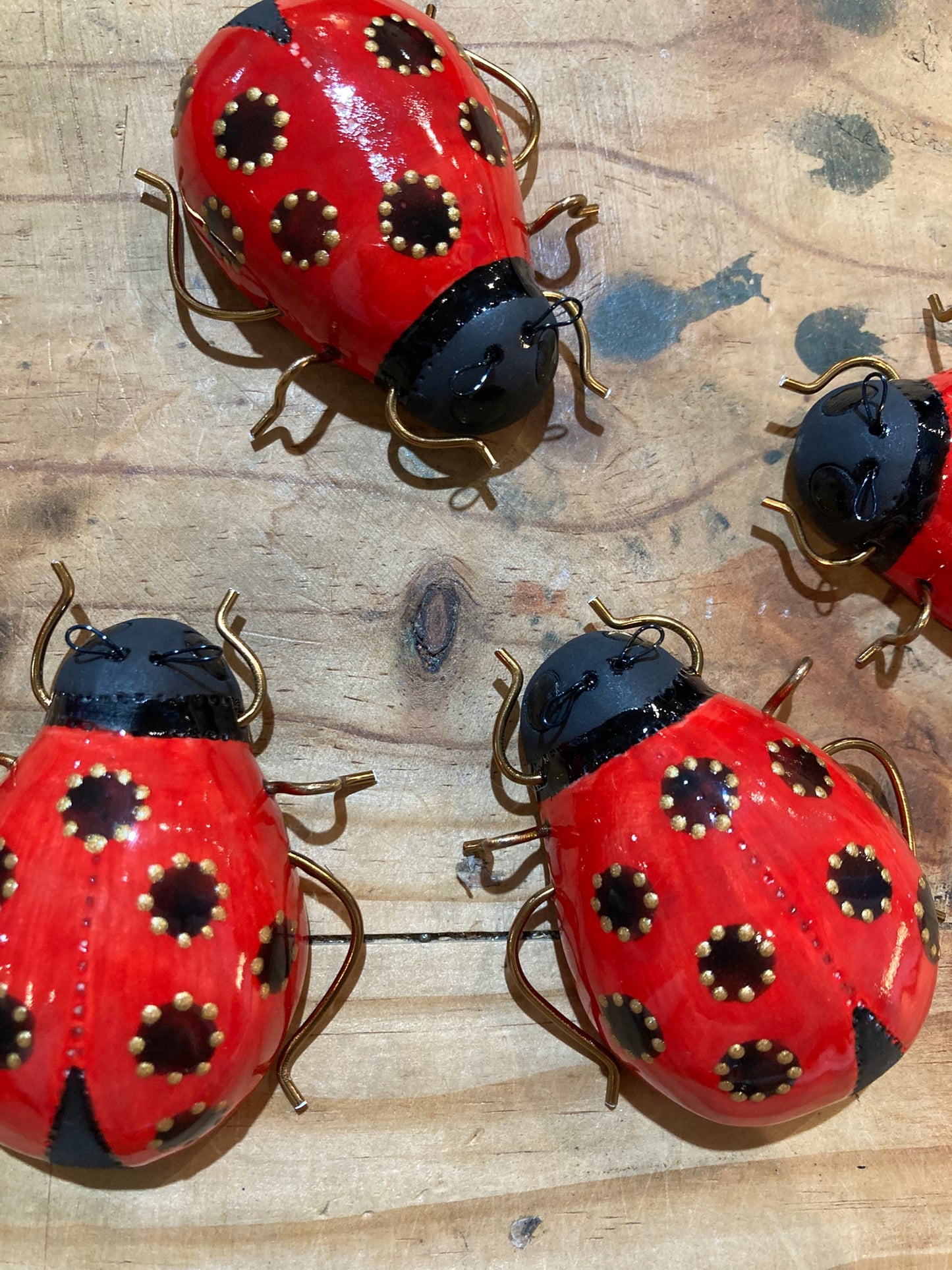 Porcelain Whimsical Ladybirds