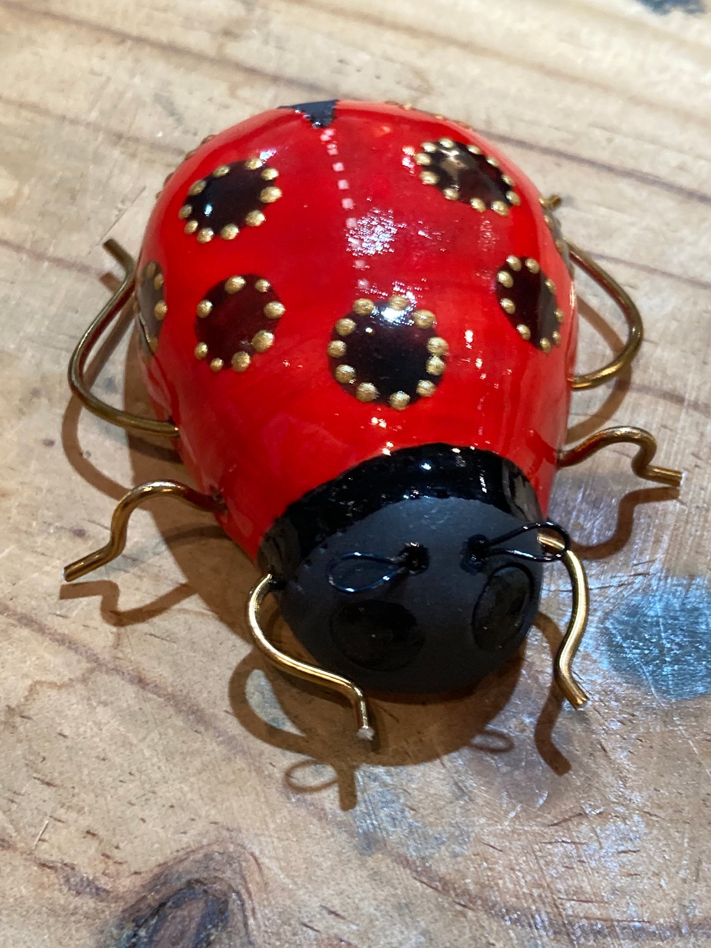 Porcelain Whimsical Ladybirds