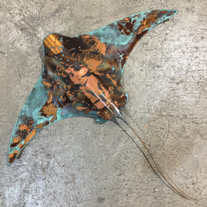 XXL Large Copper Stingray