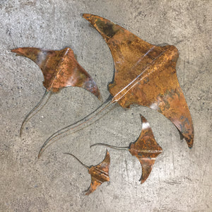 Copper Stingrays - Set of 4