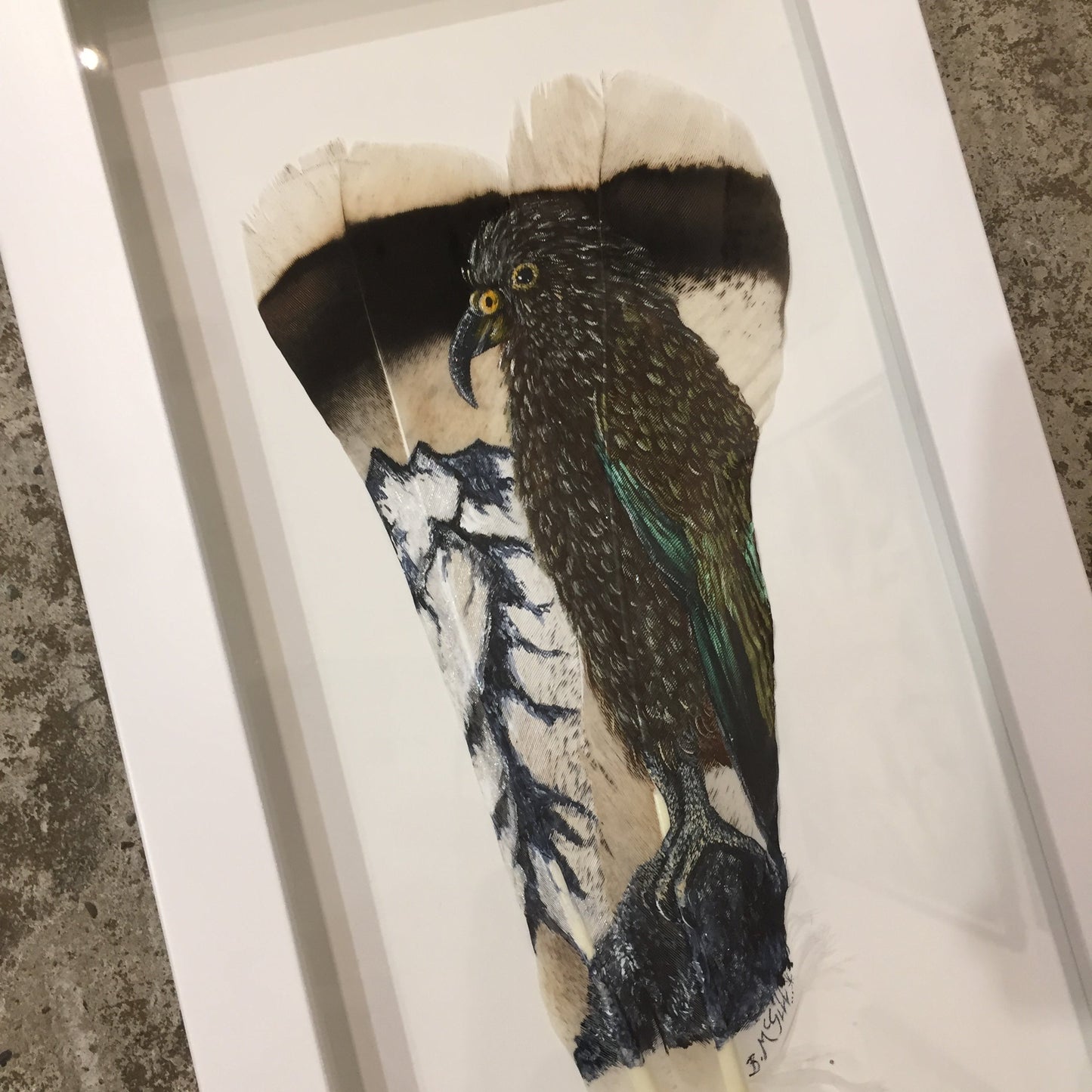 Kea in the Mountains - Painted Feather