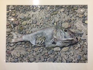 Dead Fish - Original Artwork