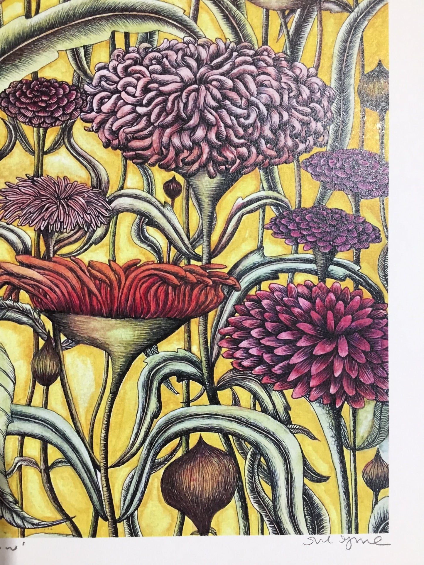 Flowers in Yellow Limited Edition Print