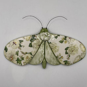 Porcelain Moths