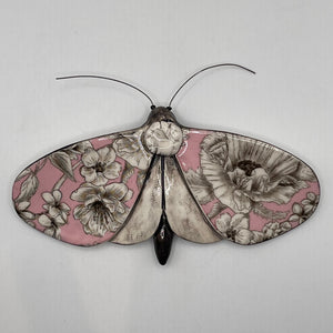 Porcelain Moths