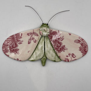 Porcelain Moths