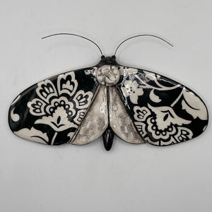 Porcelain Moths