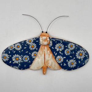 Porcelain Moths