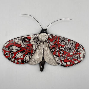 Porcelain Moths