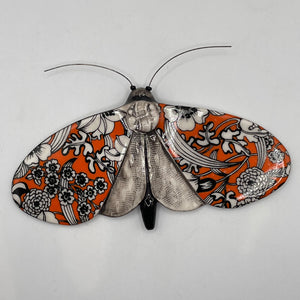 Porcelain Moths