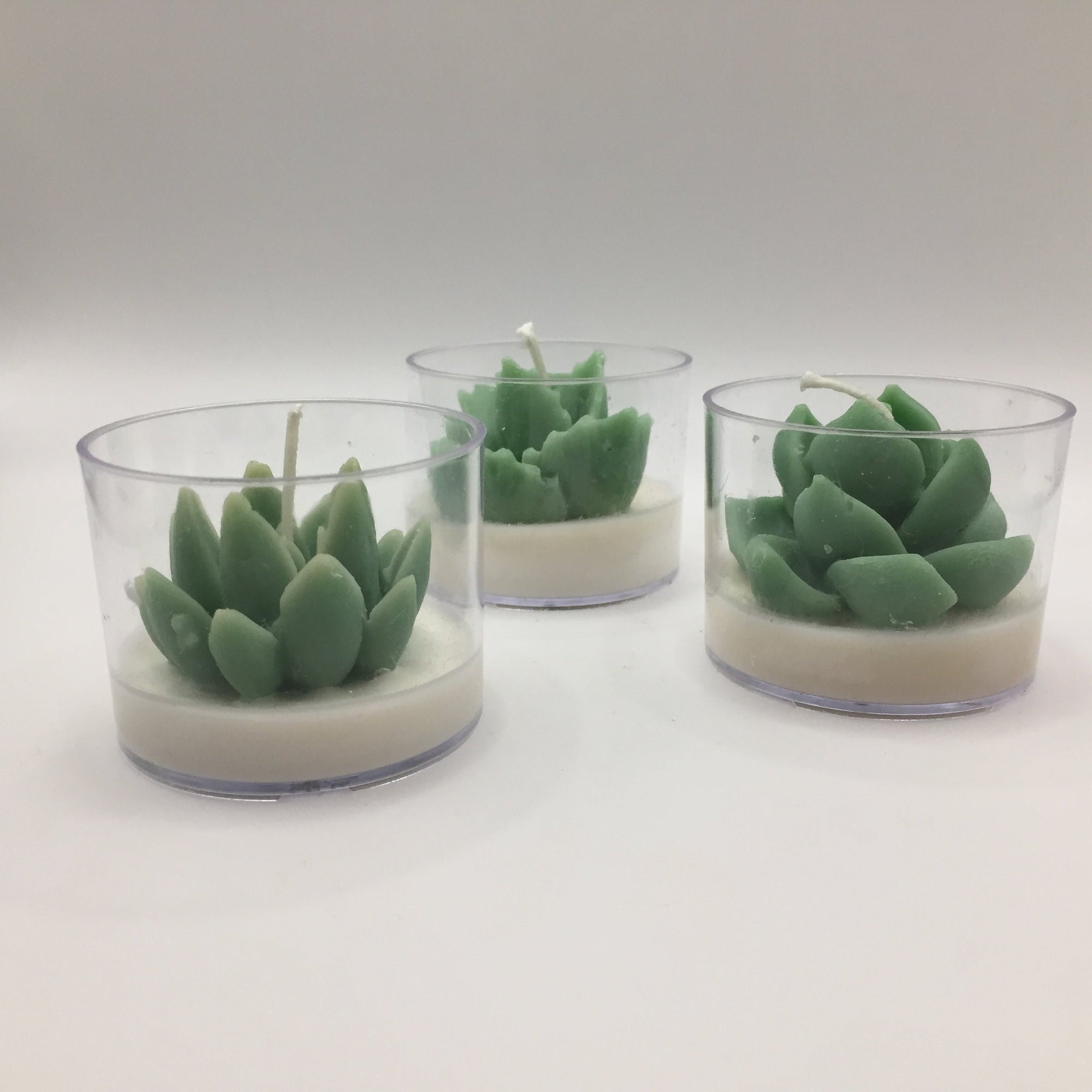 Succulent Tealight Candle