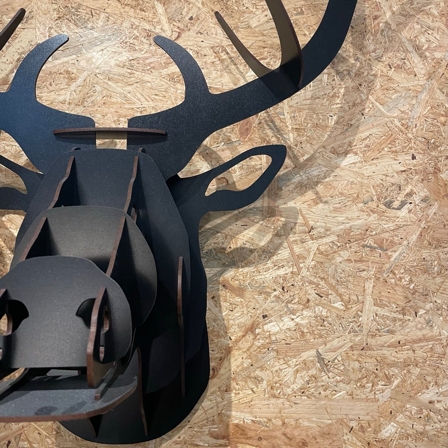 Stag Wall Trophy Head