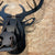 Stag Wall Trophy Head