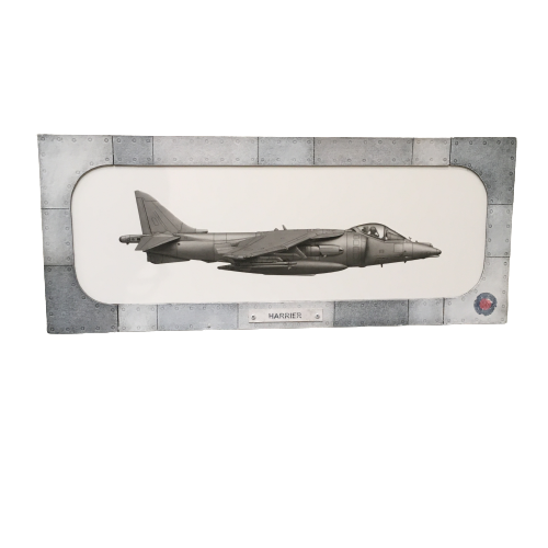 Harrier Plane Diorama