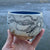 Sea Creature Cups - Large