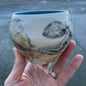 Sea Creature Cups - Large