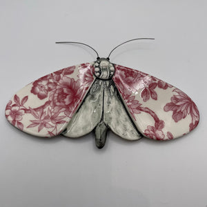 Porcelain Moths