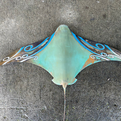 Pacific Copper Coloured Stingray