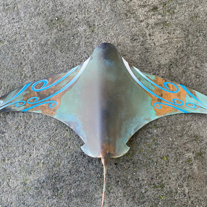 Pacific Copper Coloured Stingray