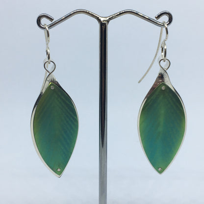 Green Pohutukawa Leaf Earrings