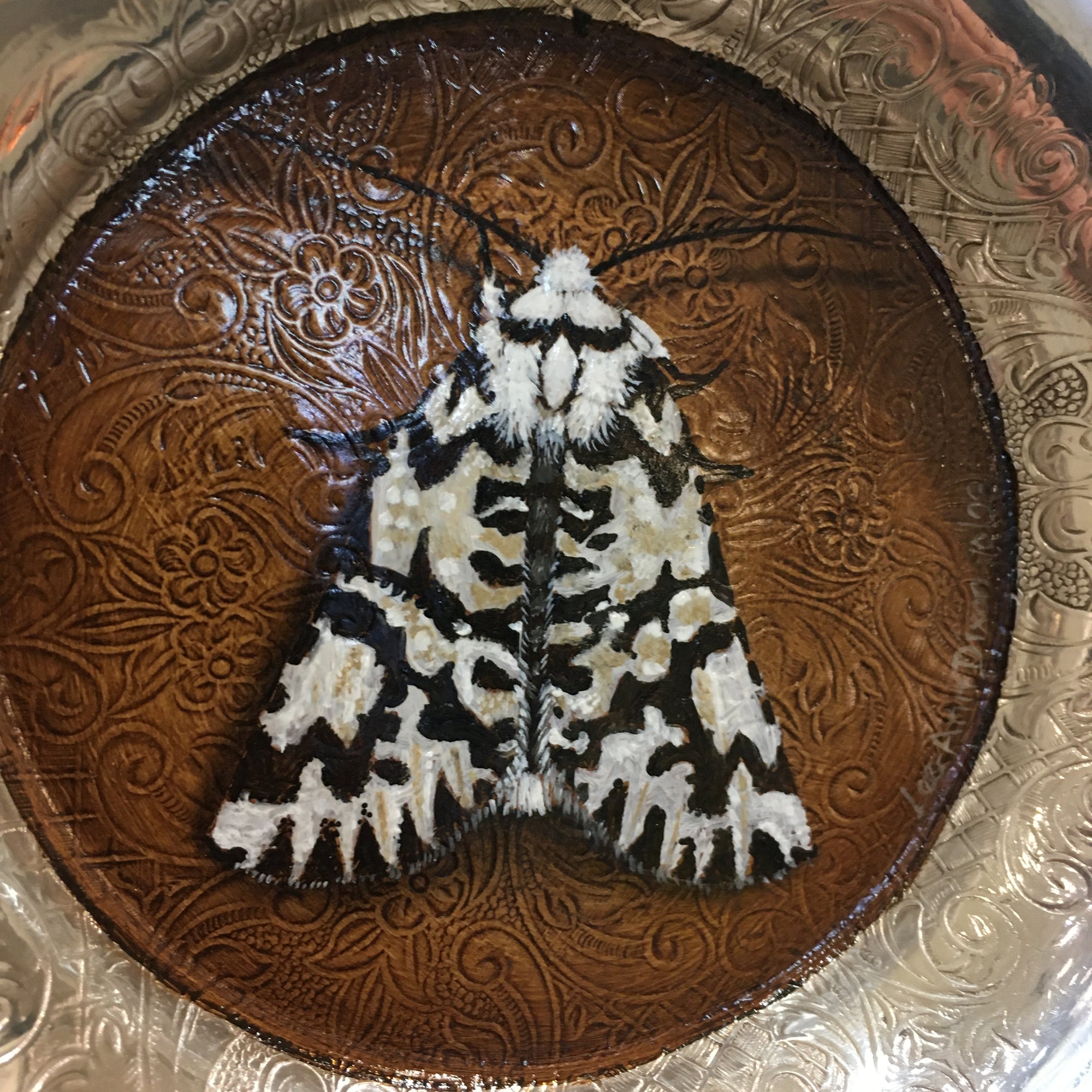 North Island Lichen Moth - Original Painting