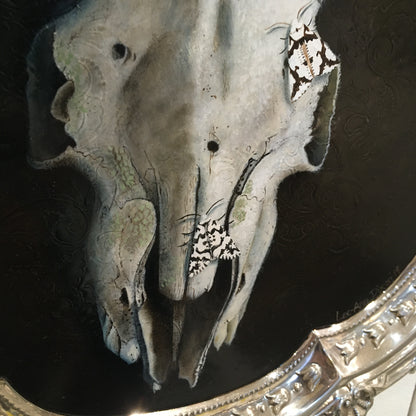 Goat Skull with Moths - Original Painting