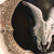 Goat Skull with Moths - Original Painting
