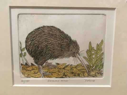 Brown Kiwi Limited Edition Etching