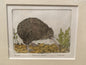 Brown Kiwi Limited Edition Etching