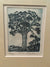 Kauri Limited Edition Etching